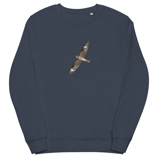 french-navy