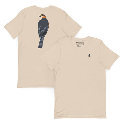 soft-cream